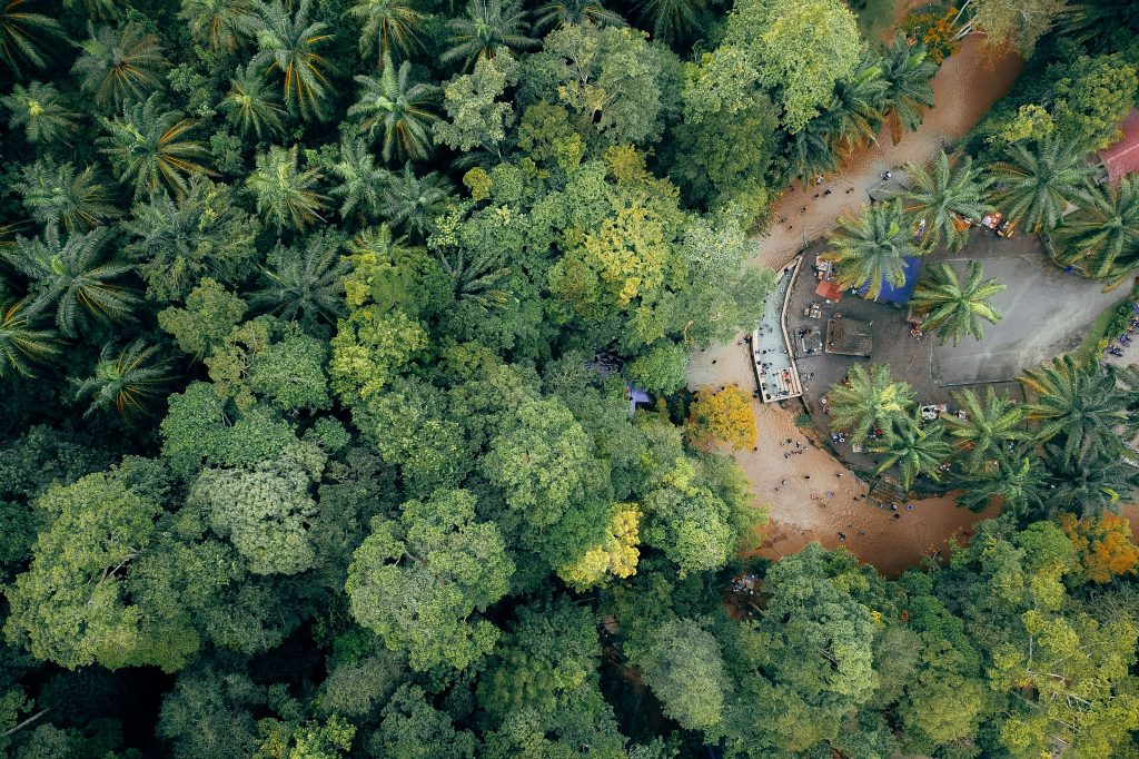 Vue du ciel de la forêt amazonienne et du fleuve