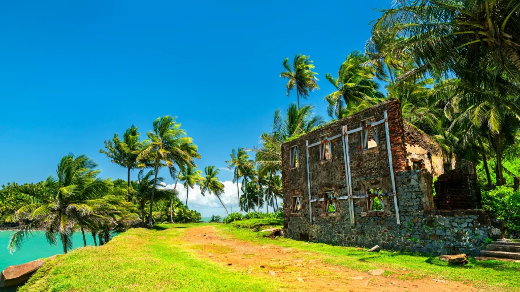 Découverte de la Guyane lors d'un voyage personnalisé entre nature, culture et rencontres locales