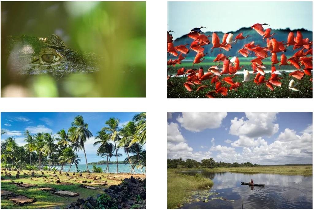 Travel planner organisant un séjour personnalisé en Guyane avec un itinéraire adapté aux voyageurs