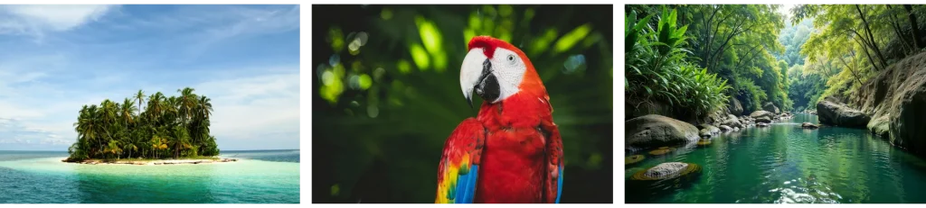 Spécialisée sur le Costa Rica, le Panama et la Guyane, je vous aide à concevoir le voyage de vos rêves
