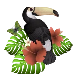le toucan emblème de la Guyane