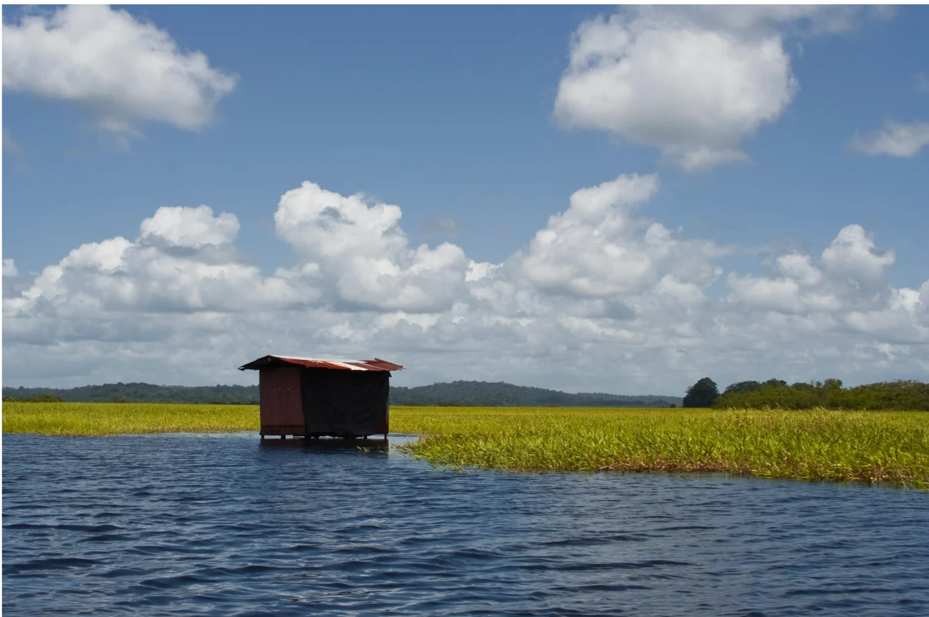 cabane dans les marais de Kaw